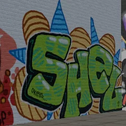 shel's profile image